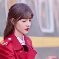 FX1061558239