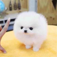 一个普通人