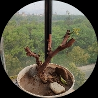 亲，我在