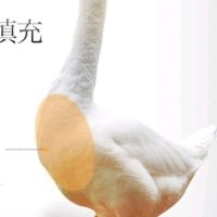 xiaoxiao0101