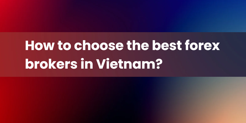 如何选择越南最好的外汇经纪商?