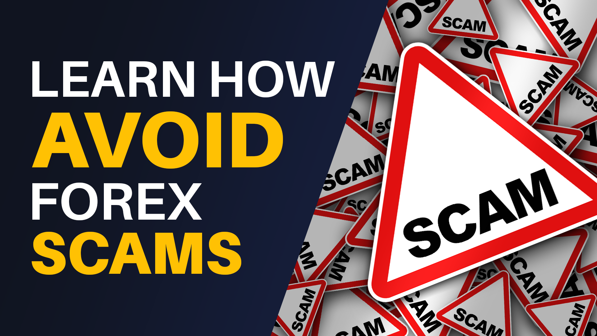 learn how to avoid forex scams