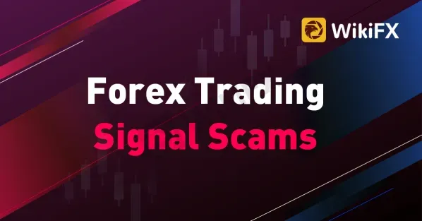 Forex Trading Signal Scams-News-WikiFX