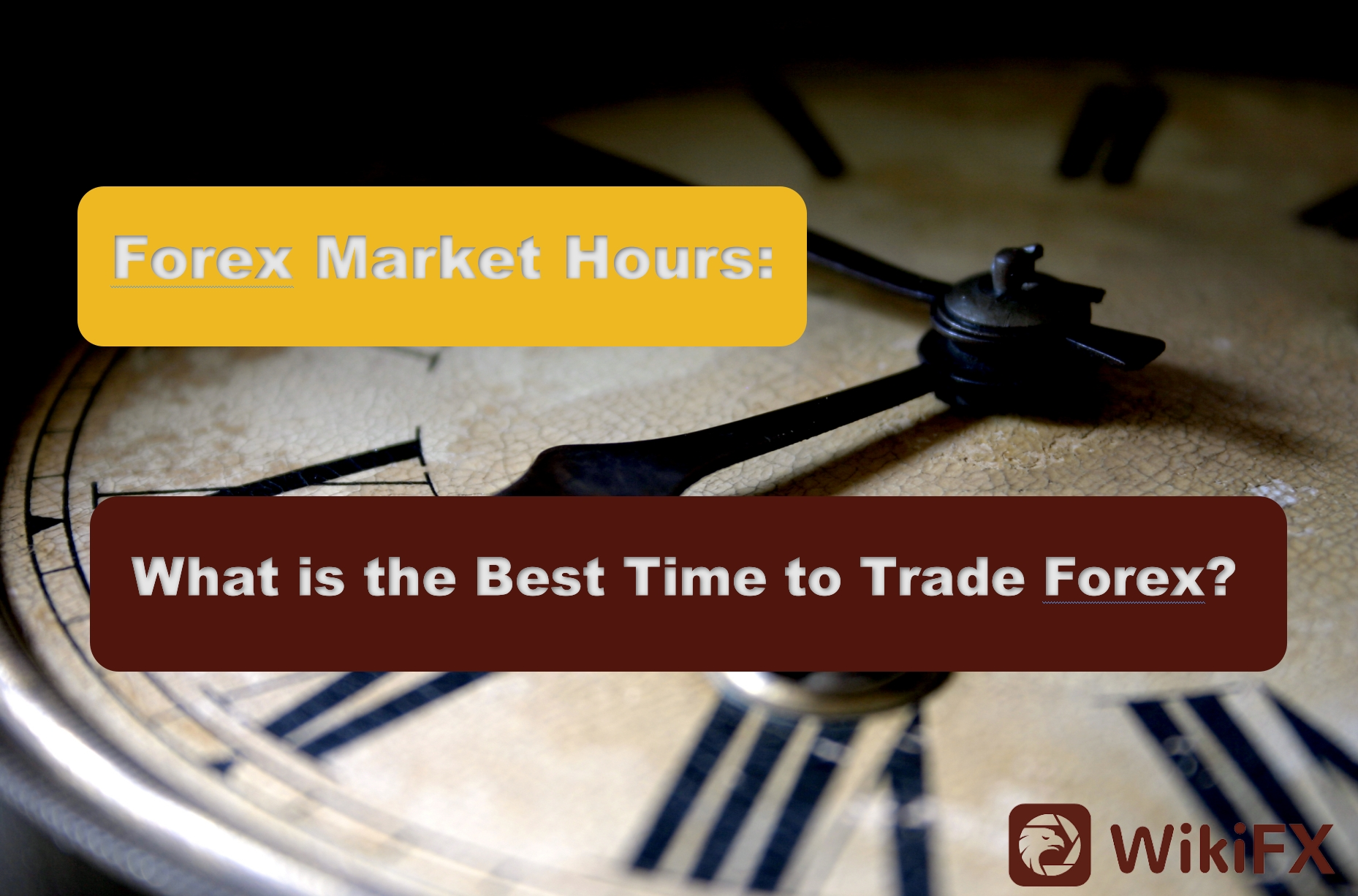 Forex market hours