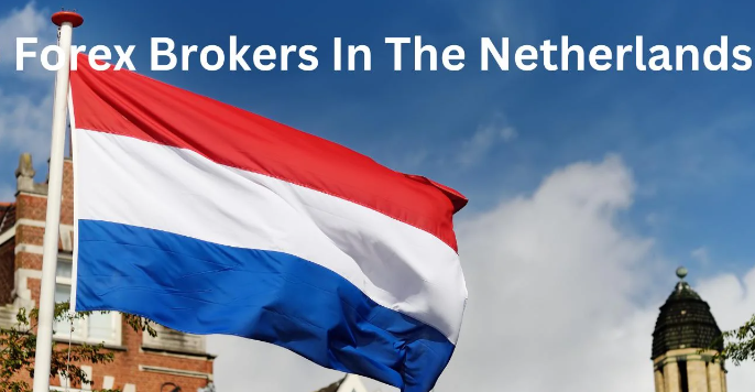 Best Forex Brokers in the Netherlands for 2024