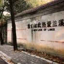 一抹蓝樱